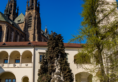 Moravské zemské muzeum: Biskupský dvůr