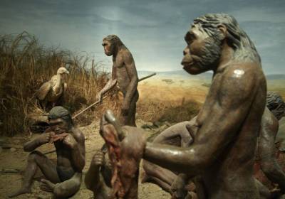 O původu člověka a vzniku kultury