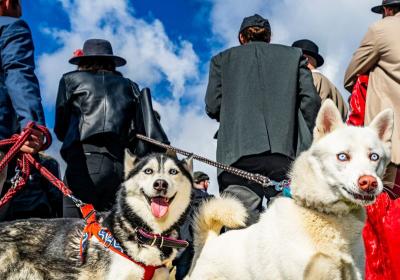 35 let Institutu tvůrčí fotografie FPF Slezské univerzity v Opavě