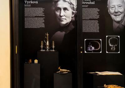 Muzeum od sklepa po půdu