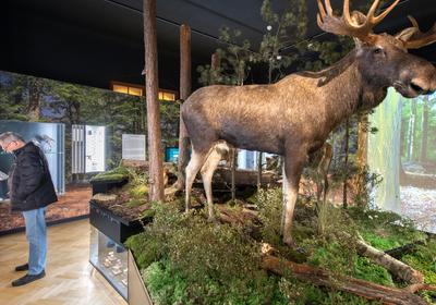 Příroda, archeologie, národopis