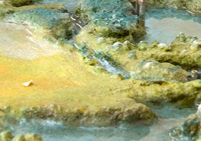 Štěpánek Netolický