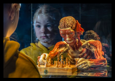 Body worlds v Praze