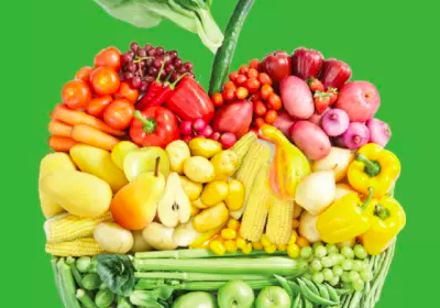 Flora Olomouc – Hortikomplex 2025