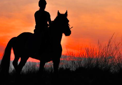 Veletrh Horse Expo 2026