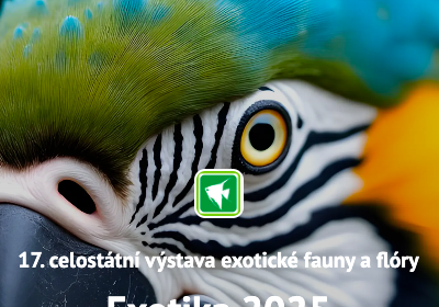 Výstava Exotika v Lysé nad Labem