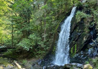 Zřícenina hradu Louzek