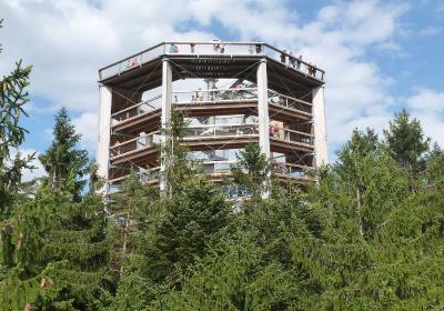 Zřícenina hradu Louzek