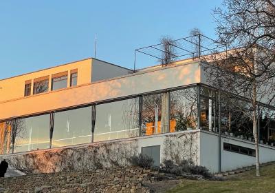 Vila Löw-Beer v Brně