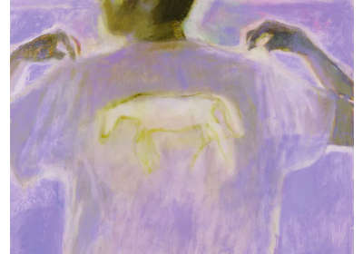 Don Quijote. Pustá země