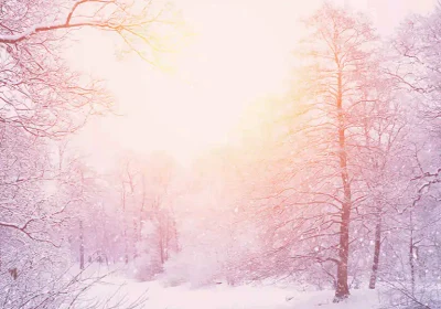 Adventní koncert v Národním divadle