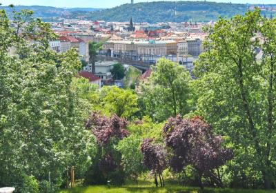 Park Stromovka